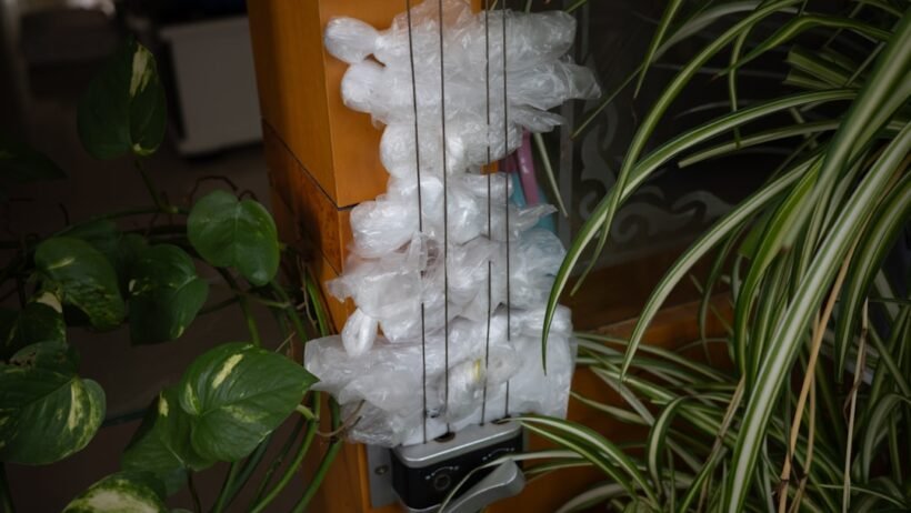 Araç içi kötü koku nasıl giderilir? Kesin çözümler görseli