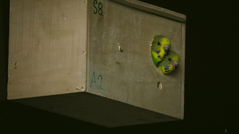 Evde şarj cihazı kurma maliyeti 2026 (apartman ve müstakil ev farkı) görseli