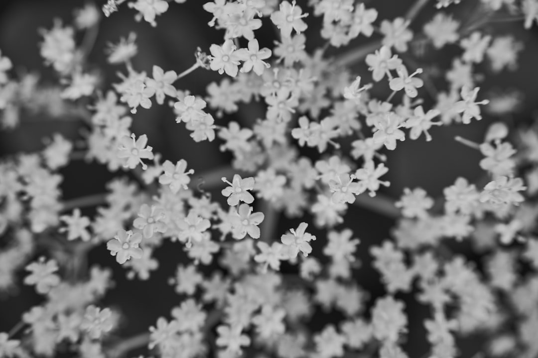 2026-2027 kış lastiği zorunluluğu ve cezaları ile ilgili görsel