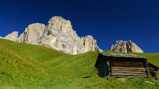 Klima kötü koku yapıyor: Kesin çözüm (5 dakikada kendin yap) görseli