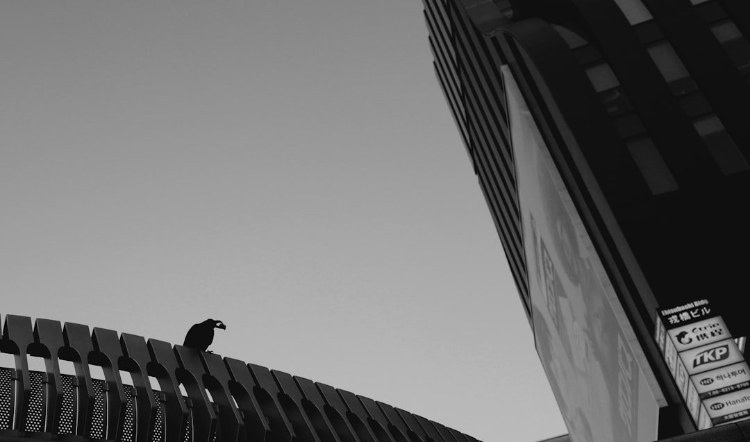 ABS nedir, nasıl çalışır, gerçekten hayat kurtarır mı? ile ilgili görsel