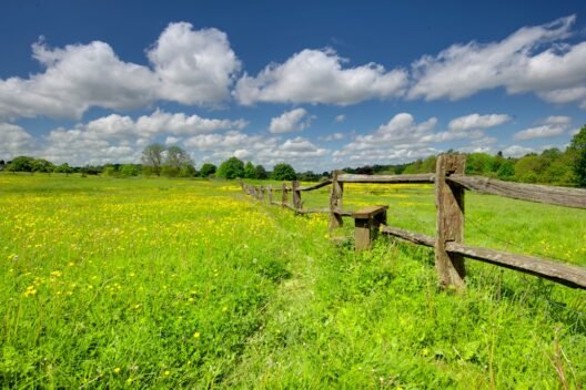 Common rail nedir, dizel motorlarda nasıl çalışır? görseli