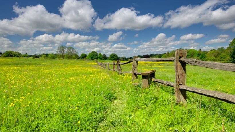 Common rail nedir, dizel motorlarda nasıl çalışır? görseli