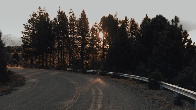 ESP nedir, ne işe yarar, ne zaman devreye girer? görseli