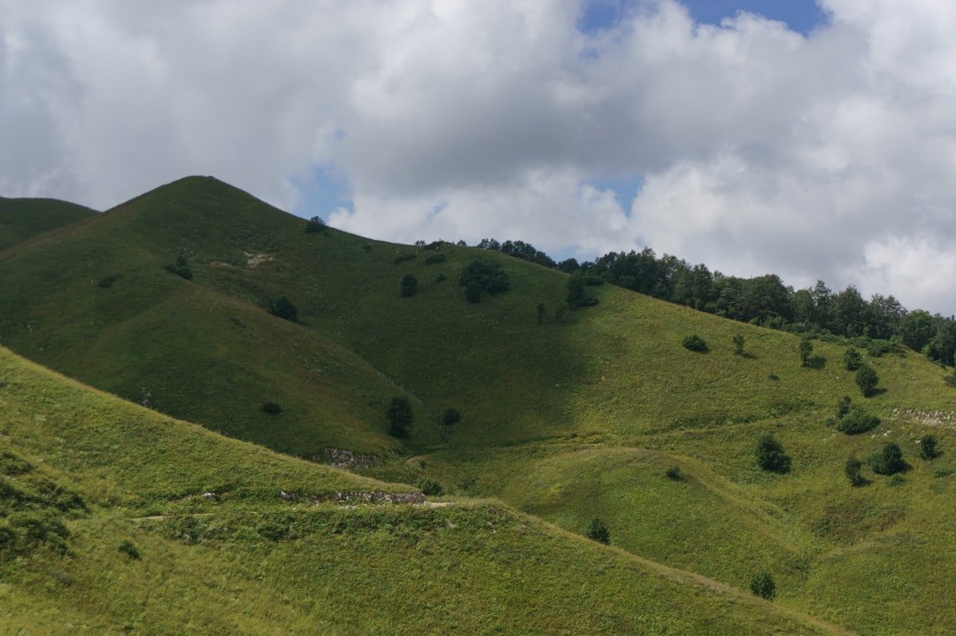 Hill holder nedir, yokuş kalkış desteği nasıl çalışır? ile ilgili görsel