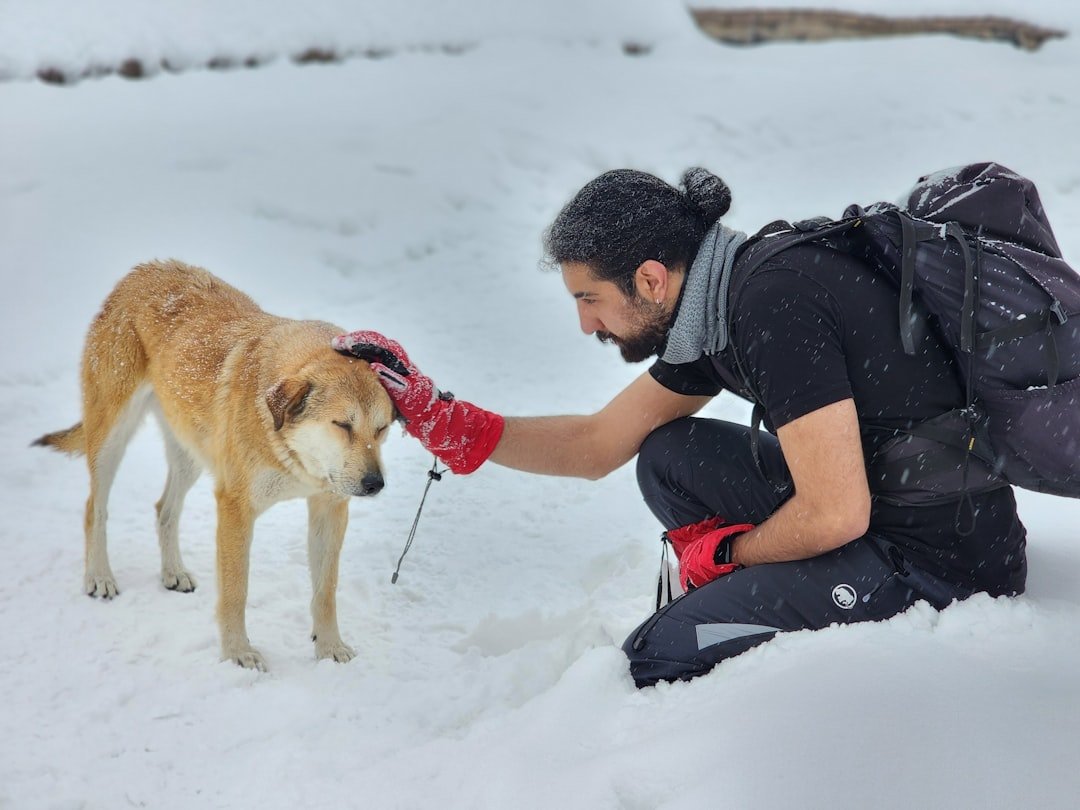 Kışa girmeden araçta mutlaka kontrol edilmesi gereken 20 nokta konusunda görsel