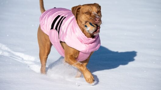 Kışa girmeden araçta mutlaka kontrol edilmesi gereken 20 nokta görseli