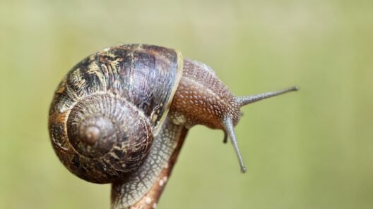 Maf sensörü nedir, arızası yakıt tüketimini nasıl etkiler? görseli