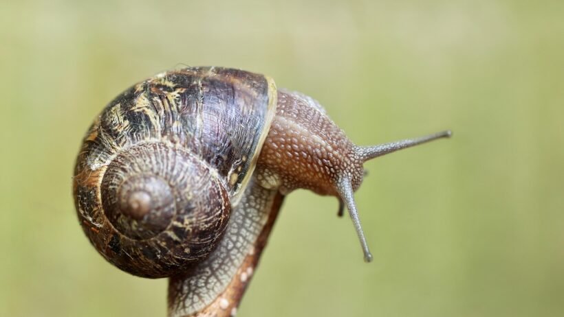 Maf sensörü nedir, arızası yakıt tüketimini nasıl etkiler? görseli