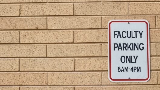 Otomatik park sistemi nedir, ne kadar güvenilir? görseli