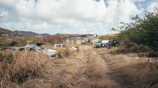 takla atan araba​ görseli