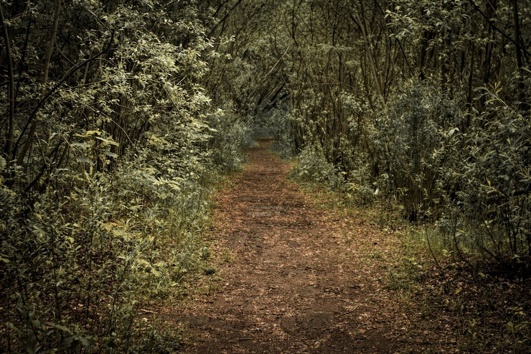 Uzun yol öncesi yapılacak kontroller için pratik check-list ile ilgili görsel