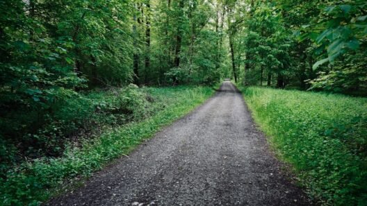 Uzun yol öncesi yapılacak kontroller için pratik check-list görseli