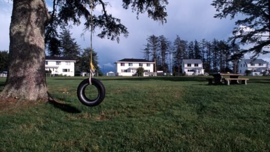 Yaz lastiği, kış lastiği, 4 mevsim lastik farkları nelerdir? görseli