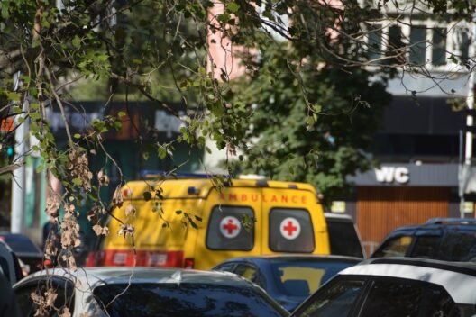 çakarlı araç nedir​ görseli