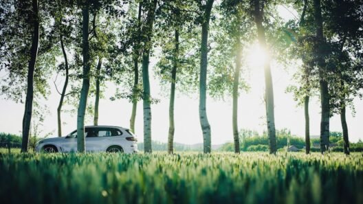 İkinci el araç alım satım sözleşmesi