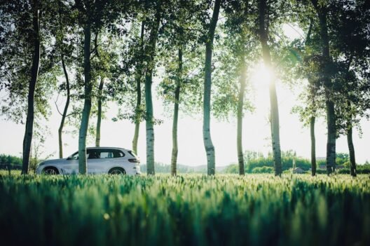 İkinci el araç alım satım sözleşmesi