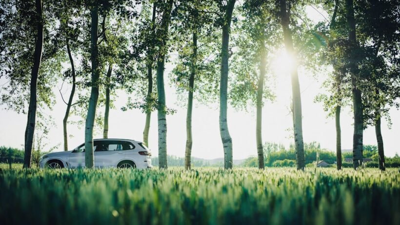 İkinci el araç alım satım sözleşmesi